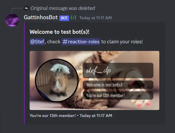 Welcome System
